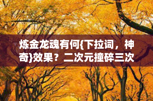 二次元撞碎三次元钱包图片