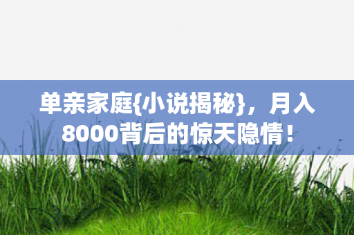 月入8000背后的惊天隐情图片