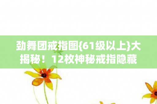 12枚神秘戒指隐藏秘密图片