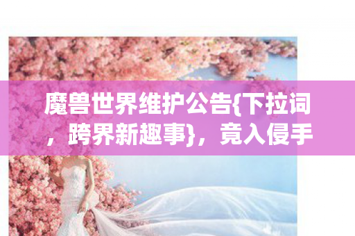 魔兽世界维护公告图片