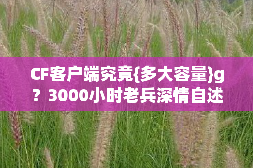 3000小时老兵深情自述图片
