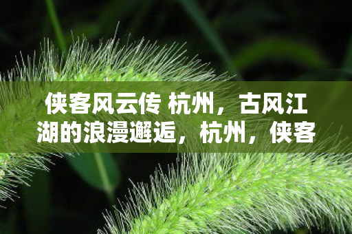 侠客风云传中的古风江湖浪漫邂逅图片