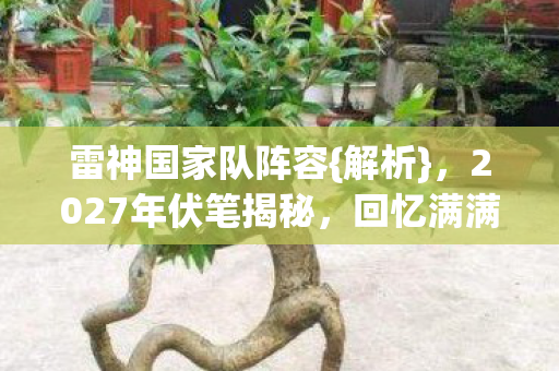 2027年伏笔揭秘图片