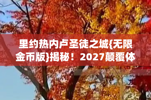 里约热内卢圣徒之城图片