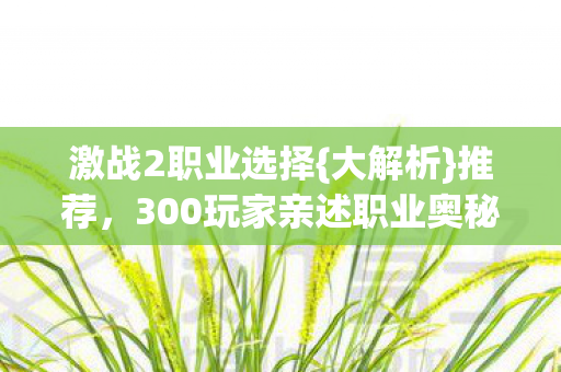 300玩家亲述职业奥秘图片