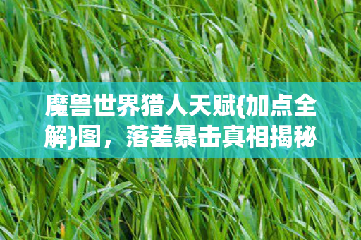 魔兽世界猎人天赋图片
