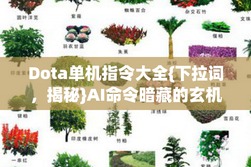 Dota单机指令大全图片