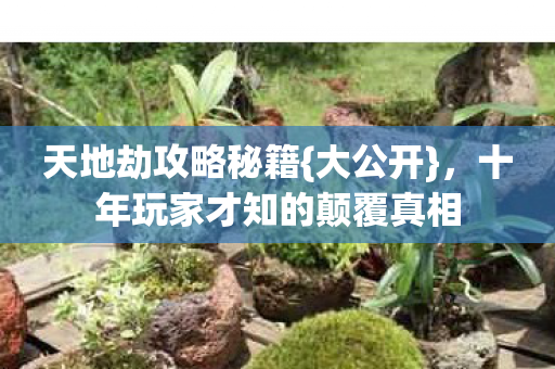 十年玩家才知的颠覆真相图片