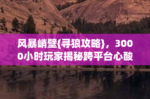 3000小时玩家揭秘跨平台心酸图片