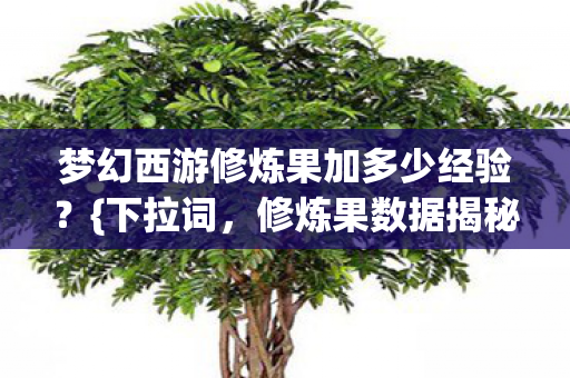 梦幻西游修炼果加多少经验图片