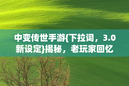 老玩家回忆杀来袭图片