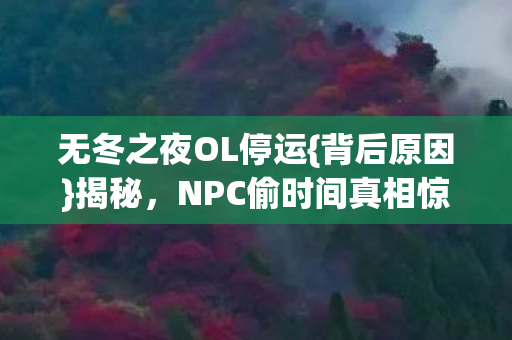 NPC偷时间真相惊人图片