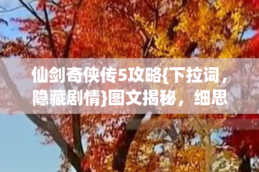仙剑奇侠传5攻略图片