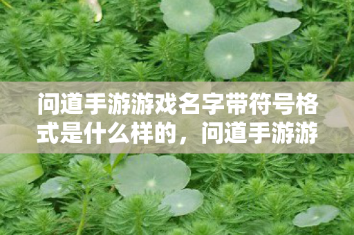 问道手游游戏名字带符号格式是什么样的,问道手游游戏名字带符号格式全解析 问道手游游戏名字带符号格式是什么样的,问道手游游戏名字带符号格式全解析