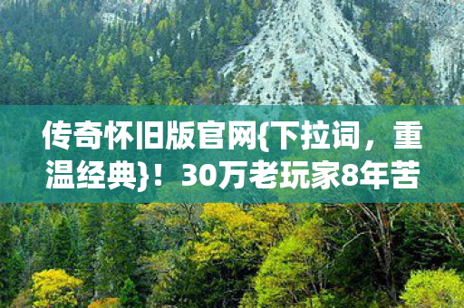 30万老玩家8年苦等终有果图片