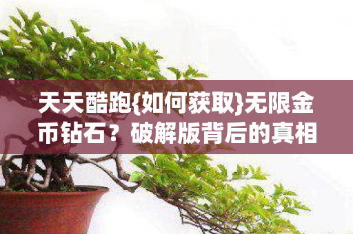 破解版背后的真相图片