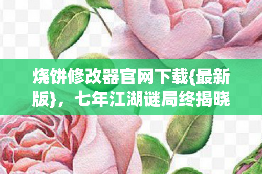 烧饼修改器官网下载图片