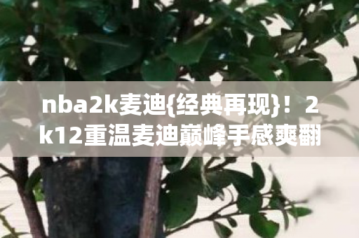 2k12重温麦迪巅峰手感爽翻图片