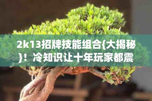 冷知识让十年玩家都震惊图片