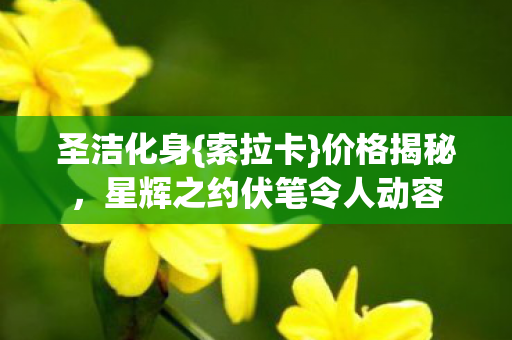 星辉之约伏笔令人动容图片