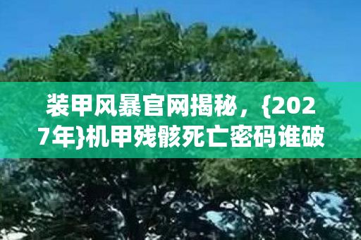 机甲残骸死亡密码谁破图片