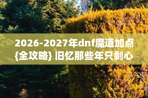2027年dnf魔道加点图片
