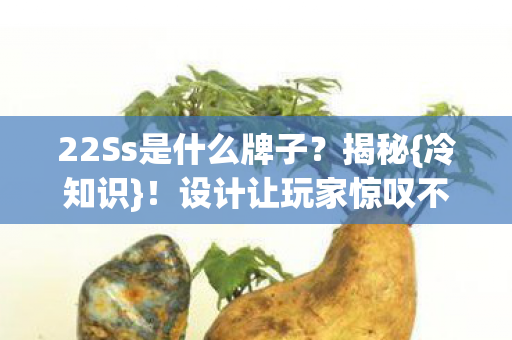22Ss是什么牌子图片