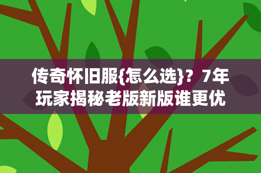 7年玩家揭秘老版新版谁更优图片