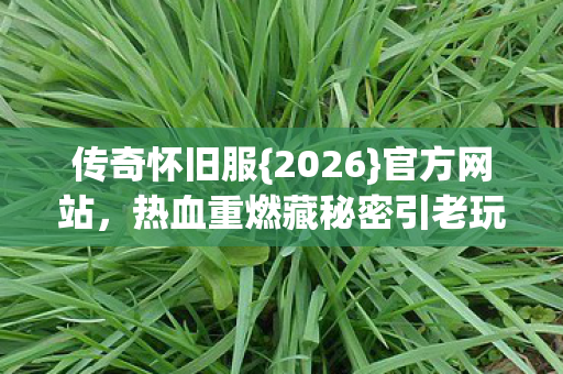 热血重燃藏秘密引老玩家泪目图片