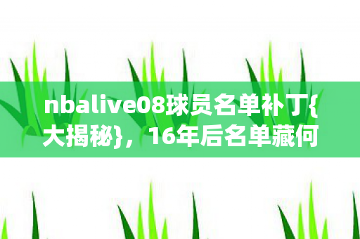 nbalive08球员名单补丁图片