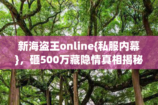 砸500万藏隐情真相揭秘图片