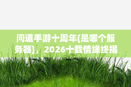 2026十载情缘终揭晓图片