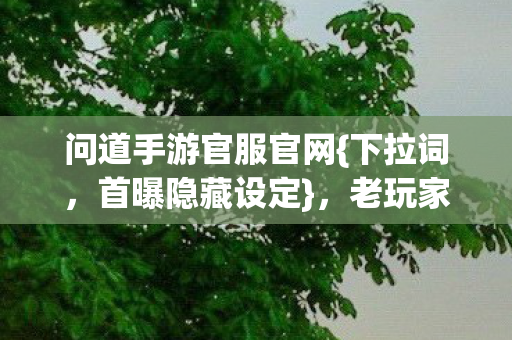 问道手游官服官网图片
