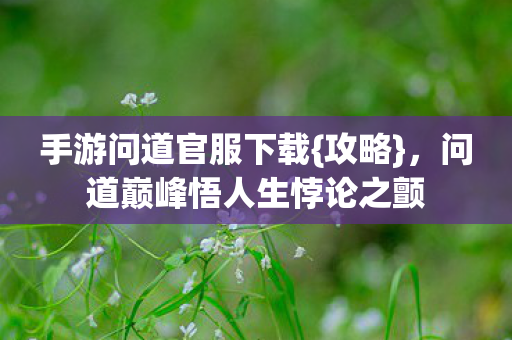 问道巅峰悟人生悖论之颤图片