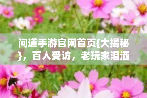 问道手游官网首页图片