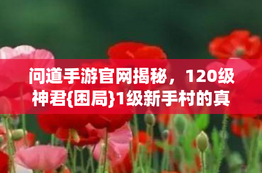 问道手游官网揭秘图片