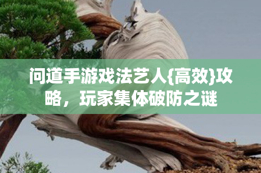 问道手游戏法艺人图片