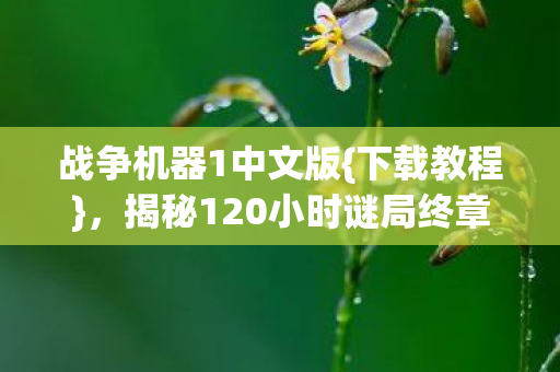 揭秘120小时谜局终章图片