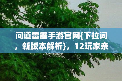 12玩家亲述策划操作图片