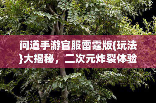 问道手游官服雷霆版图片
