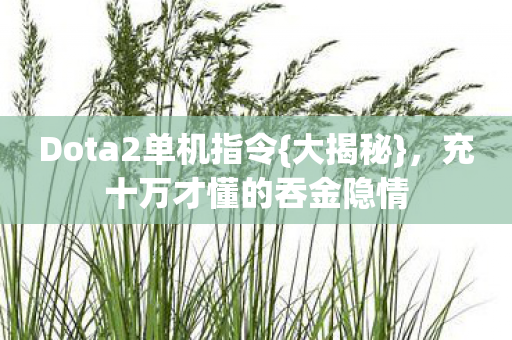 充十万才懂的吞金隐情图片