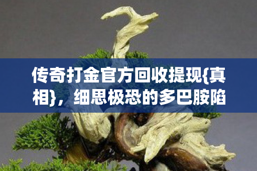 传奇打金官方回收提现图片