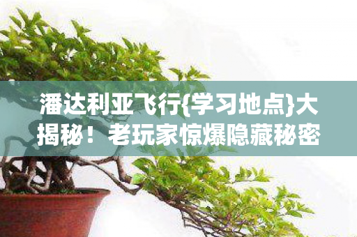 老玩家惊爆隐藏秘密图片