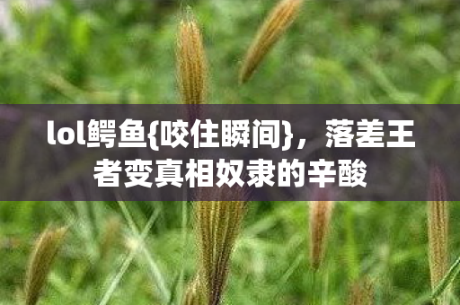 落差王者变真相奴隶的辛酸图片