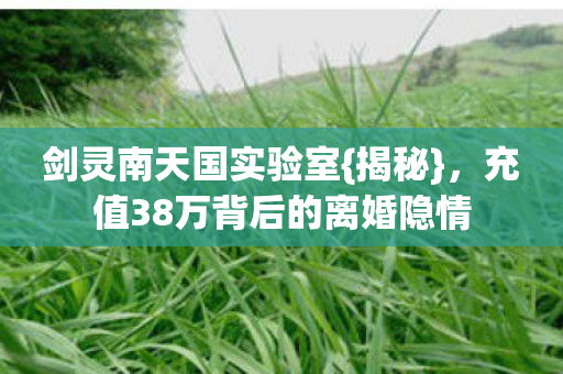 充值38万背后的离婚隐情图片