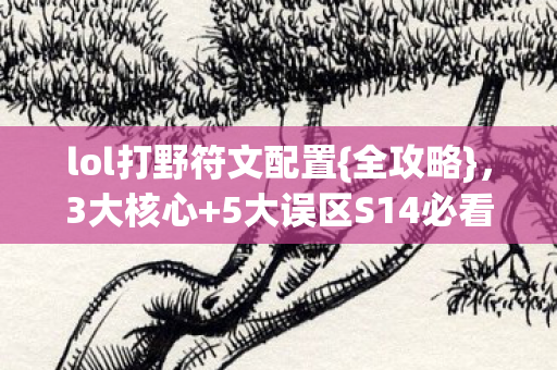 lol打野符文配置图片