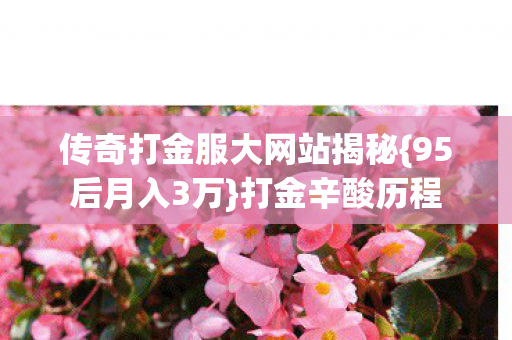 传奇打金服大网站揭秘图片