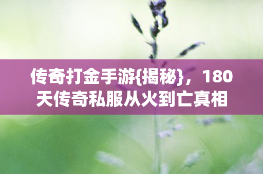 180天传奇私服从火到亡真相图片