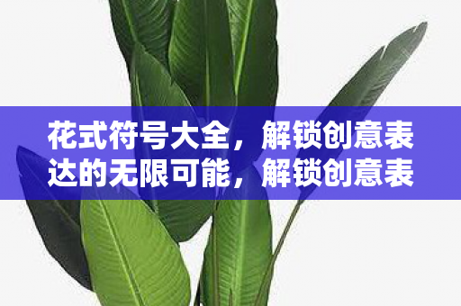 花式符号大全，解锁创意表达的无限可能，解锁创意表达的无限可能，花式符号大全