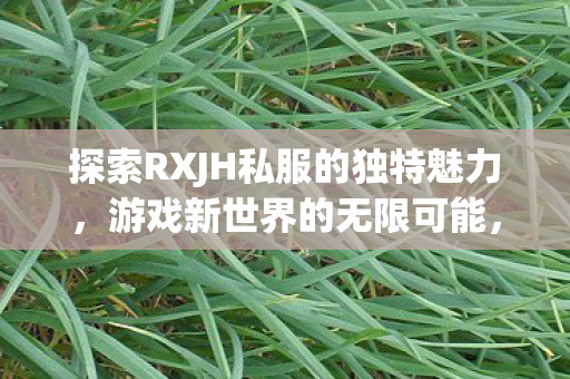 探索RXJH私服的独特魅力，游戏新世界的无限可能，RXJH私服，探索游戏新世界，体验独特魅力